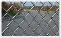 wire mesh