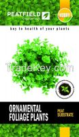 Peat substrate PEATFIELD &amp;quot;For ornamental foliage plants&amp;quot;