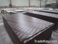 Brown film faced plywood for construction