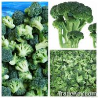 IQF broccoli