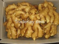Fresh ginger
