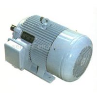 Y-Series Motor
