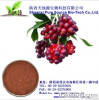 Fructus schisandrae chinensis Extract