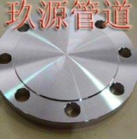 Stainless steel Blind Plate
