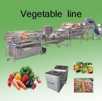 vegetable washing machine