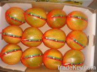 pomelo