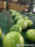 High quality Chinese honey pomelo from Pinghe
