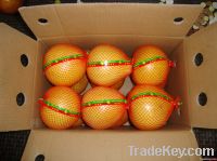pomelo