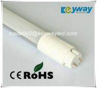 600mm T8 Led Tube, SMD Led