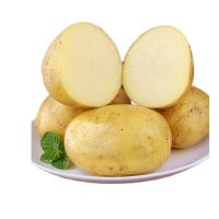 Fresh Potatoes - Vegetables
