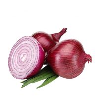 Onions - Fresh High Quality Red Onions