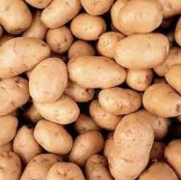 Fresh Potatoes - Vegetables