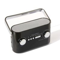 Portable Mini Hi-Fi