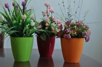https://cn.tradekey.com/product_view/2013-Hot-Sales-Durable-Highlight-Round-Flower-Pots-5928501.html