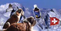 Ama-Dog 500ml 100% All Natural Nutritional Dog Supplement for Joints and Dysplasia