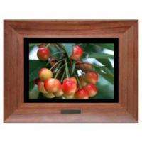 digital photo frame (DPF10W002)