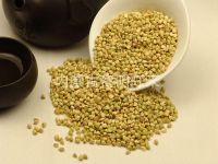 Raw/roast Buckwheat Kernel