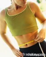 Weight loss program help you lose weight quickly