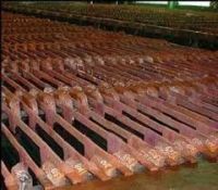Copper Cathode Plates (Electrolytic Grade A)