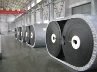 Nylon conveyor beltings