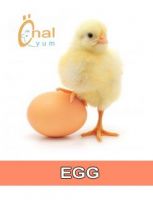 Chicken Eggs