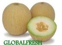 Melon 