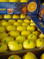 lemon