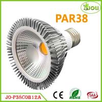 LED Par38 COB Spot Light Dimmable From China