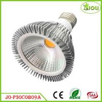 COB LED Par38 Light 5W From China