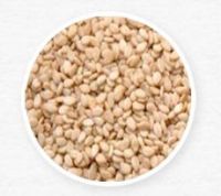 Sesame Seeds