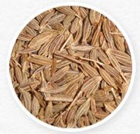 Spices