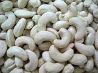 Pistachios Nuts, Cashew Nuts, Almonds, Pine Nuts, Hazel nuts, Mecademmia Nuts