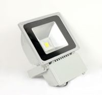 80W LED Projection lights From China