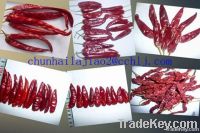 Dry red Yidu Chili