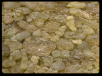 Gum Olibanum