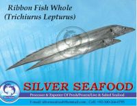 Ribbon Fish