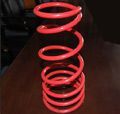 Valve Spring