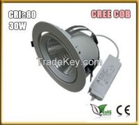 30W COB LED Eleph...