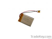 Lipolymer battery From China