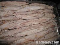 Frozen Precooked Skipjack Loin