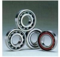 Chrome Steel Deep Groove Ball Bearing 6015-ZZ