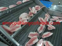 Frozen Tilapia Fillet At Very Low