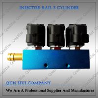 Car CNG LPG Conversion kits sequential injector rail cng lpg fuel injector