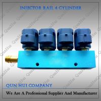 4 cylinder CNG/LPG Rail Injector