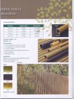 COMPOUND BAMBOO