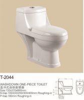 washdown one-piece toilet