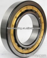 cylindrical roller bearing