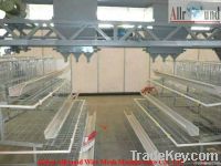 Pullets Rearing Cage