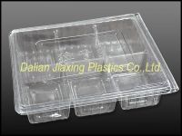 disposable plastic food container