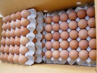 Farm Fresh Table Eggs